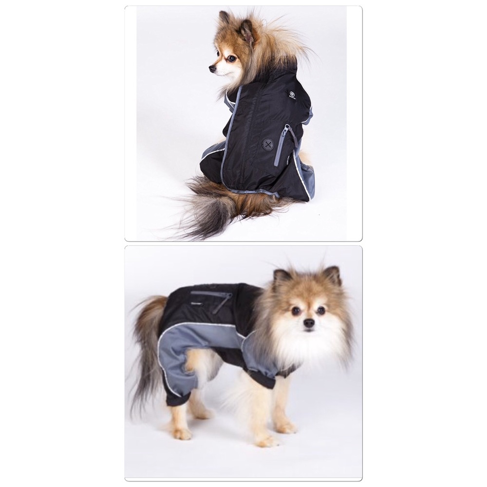 Silver Paw Raincoat